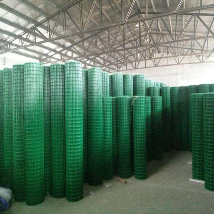 荷兰网养鸡网 现代丝网制品在养殖业中的高效应用